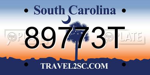 89773T South Carolina License Plate