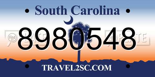 8980548 South Carolina License Plate