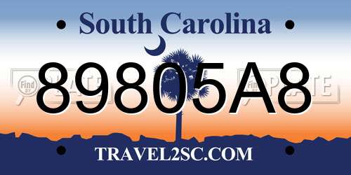 89805A8 South Carolina License Plate