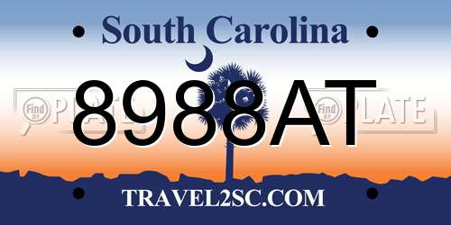 8988AT South Carolina License Plate