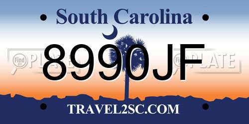 8990JF South Carolina License Plate