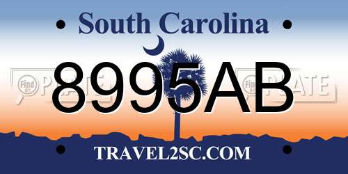8995AB South Carolina License Plate