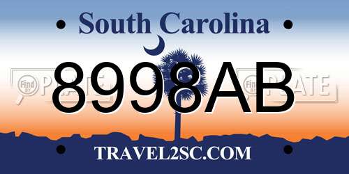 8998AB South Carolina License Plate