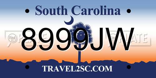 8999JW South Carolina License Plate