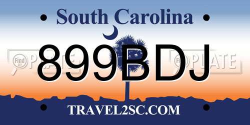 899BDJ South Carolina License Plate