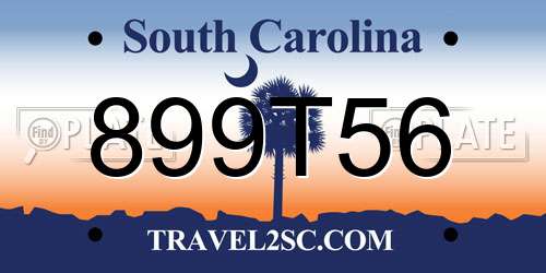 899T56 South Carolina License Plate