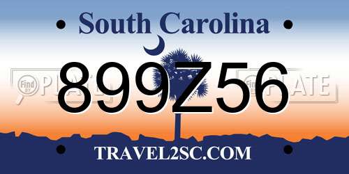899Z56 South Carolina License Plate