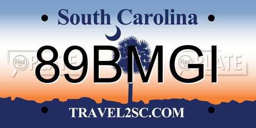 89BMGI South Carolina License Plate