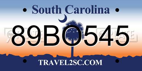 89BO545 South Carolina License Plate