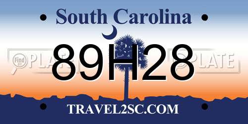 89H28 South Carolina License Plate