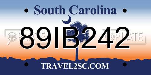 89IB242 South Carolina License Plate