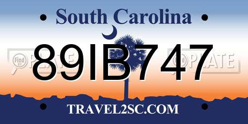 89IB747 South Carolina License Plate