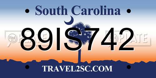 89IS742 South Carolina License Plate