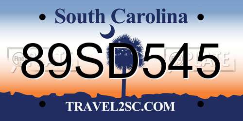 89SD545 South Carolina License Plate