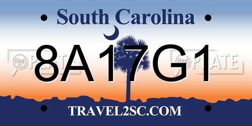 8A17G1 South Carolina License Plate