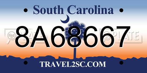8A68667 South Carolina License Plate