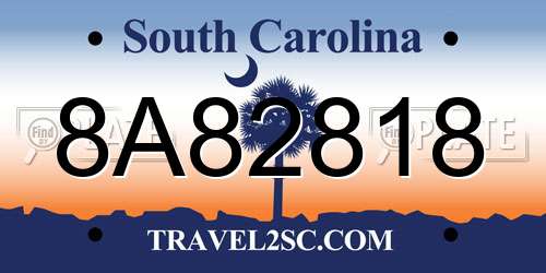 8A82818 South Carolina License Plate