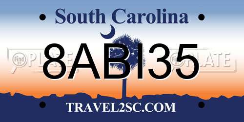 8ABI35 South Carolina License Plate