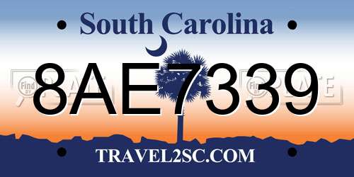 8AE7339 South Carolina License Plate