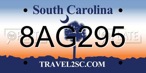 8AG295 South Carolina License Plate