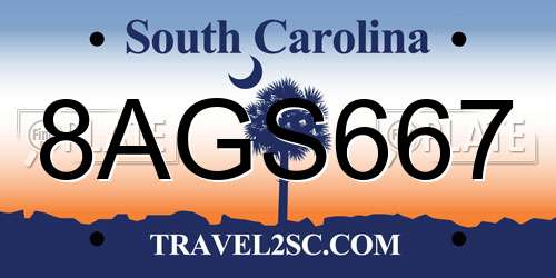 8AGS667 South Carolina License Plate
