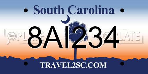 8AI234 South Carolina License Plate