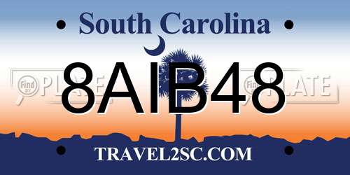 8AIB48 South Carolina License Plate