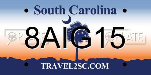 8AIG15 South Carolina License Plate