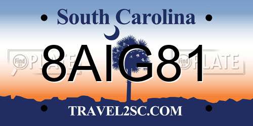 8AIG81 South Carolina License Plate