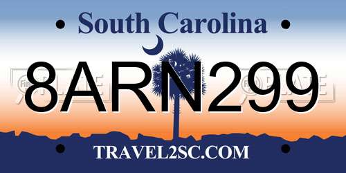 8ARN299 South Carolina License Plate