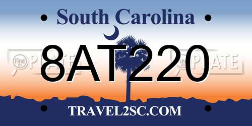 8AT220 South Carolina License Plate