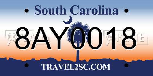 8AY0018 South Carolina License Plate