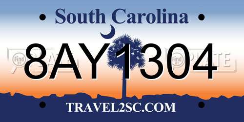 8AY1304 South Carolina License Plate