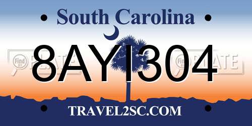 8AYI304 South Carolina License Plate