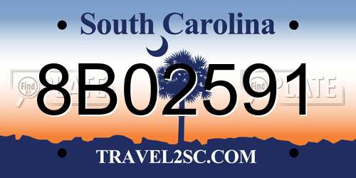 8B02591 South Carolina License Plate