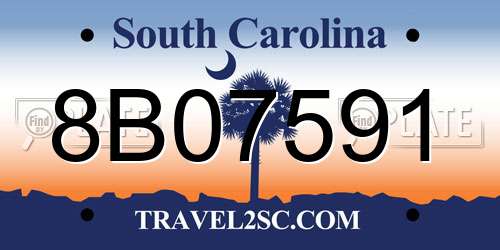 8B07591 South Carolina License Plate