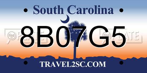 8B07G5 South Carolina License Plate