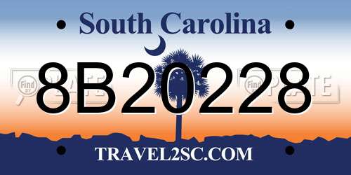 8B20228 South Carolina License Plate