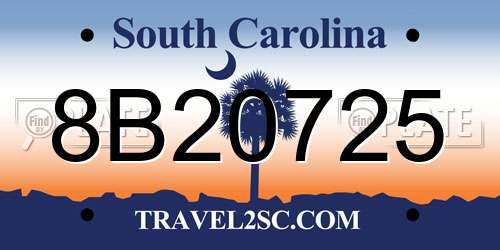 8B20725 South Carolina License Plate