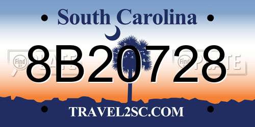 8B20728 South Carolina License Plate