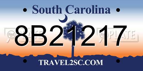 8B21217 South Carolina License Plate