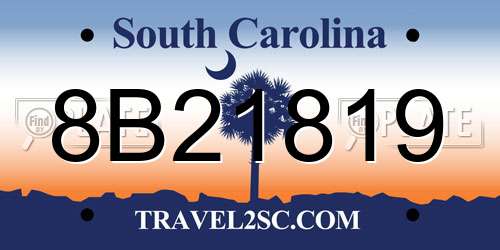 8B21819 South Carolina License Plate