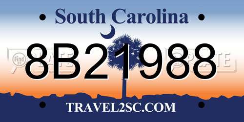 8B21988 South Carolina License Plate