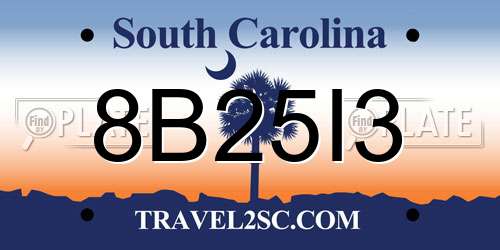 8B25I3 South Carolina License Plate