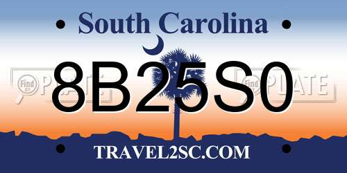 8B25S0 South Carolina License Plate