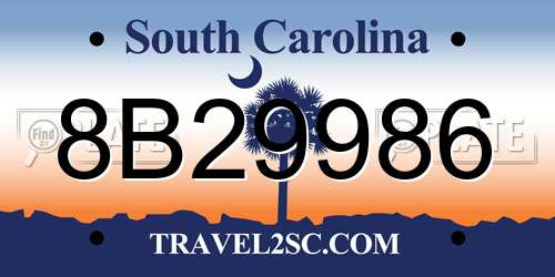 8B29986 South Carolina License Plate