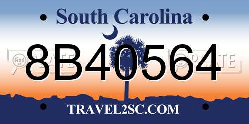 8B40564 South Carolina License Plate