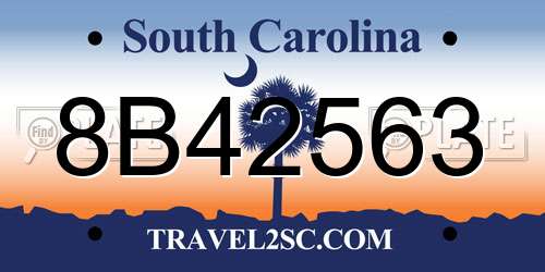 8B42563 South Carolina License Plate
