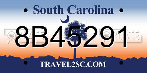 8B45291 South Carolina License Plate