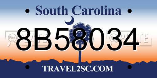 8B58034 South Carolina License Plate